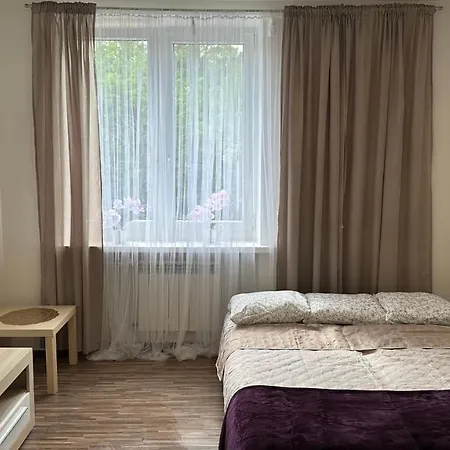 In - Wlokniarzy Łódź