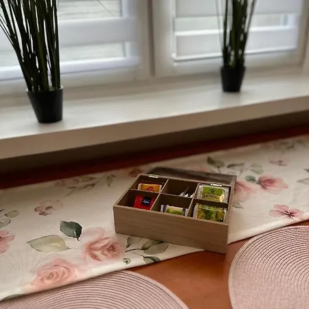 Daire In - Wlokniarzy Łódź