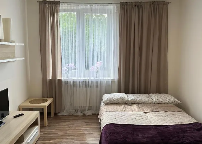 In - Wlokniarzy Łódź