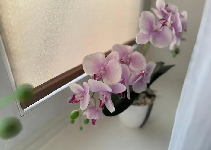 Apartamento In - Wlokniarzy